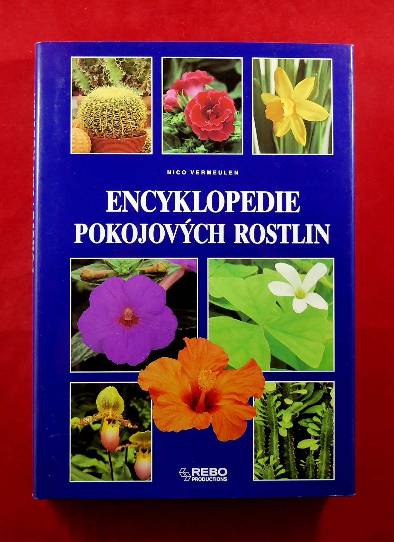 P1330202