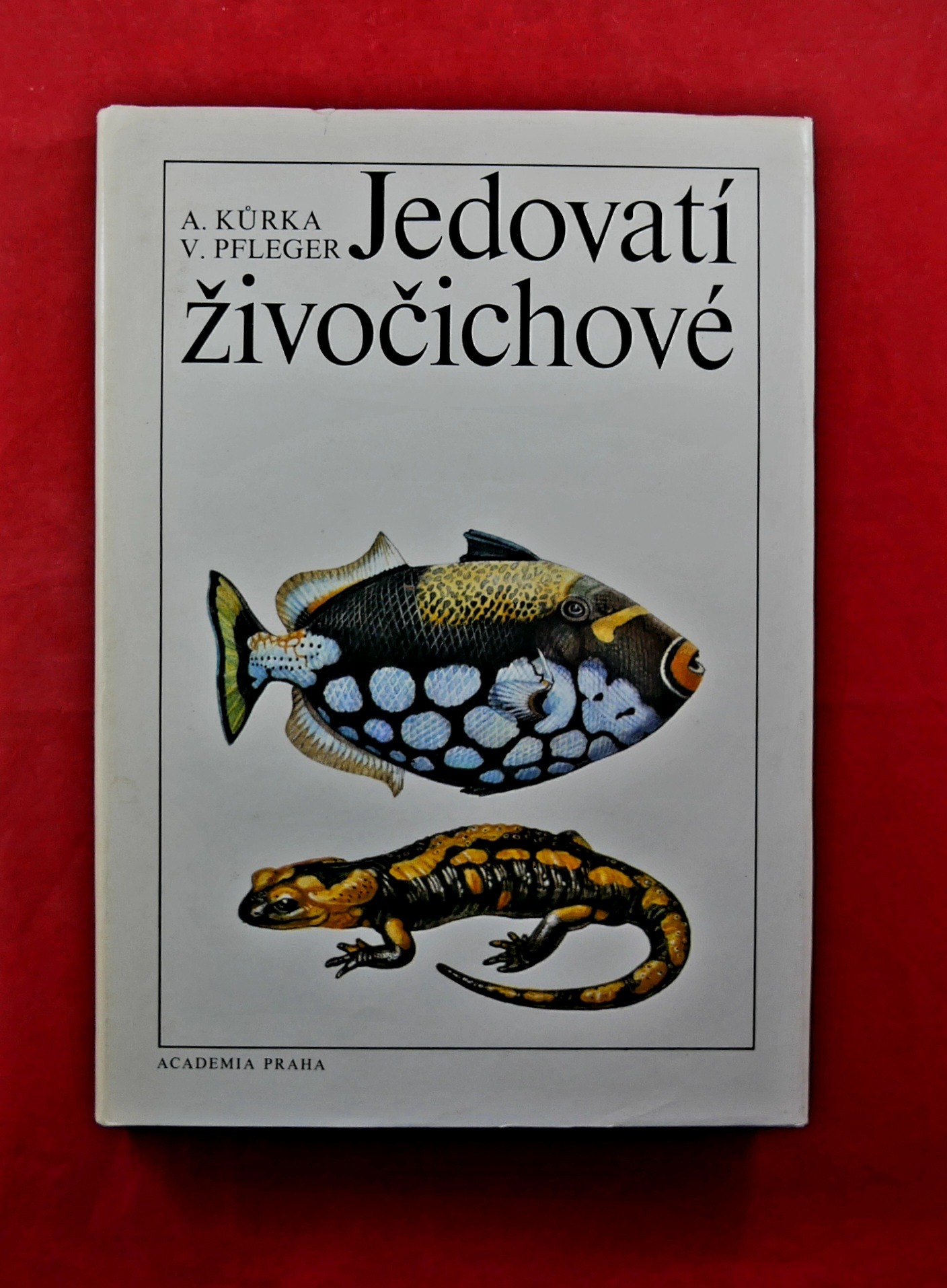 P1330213