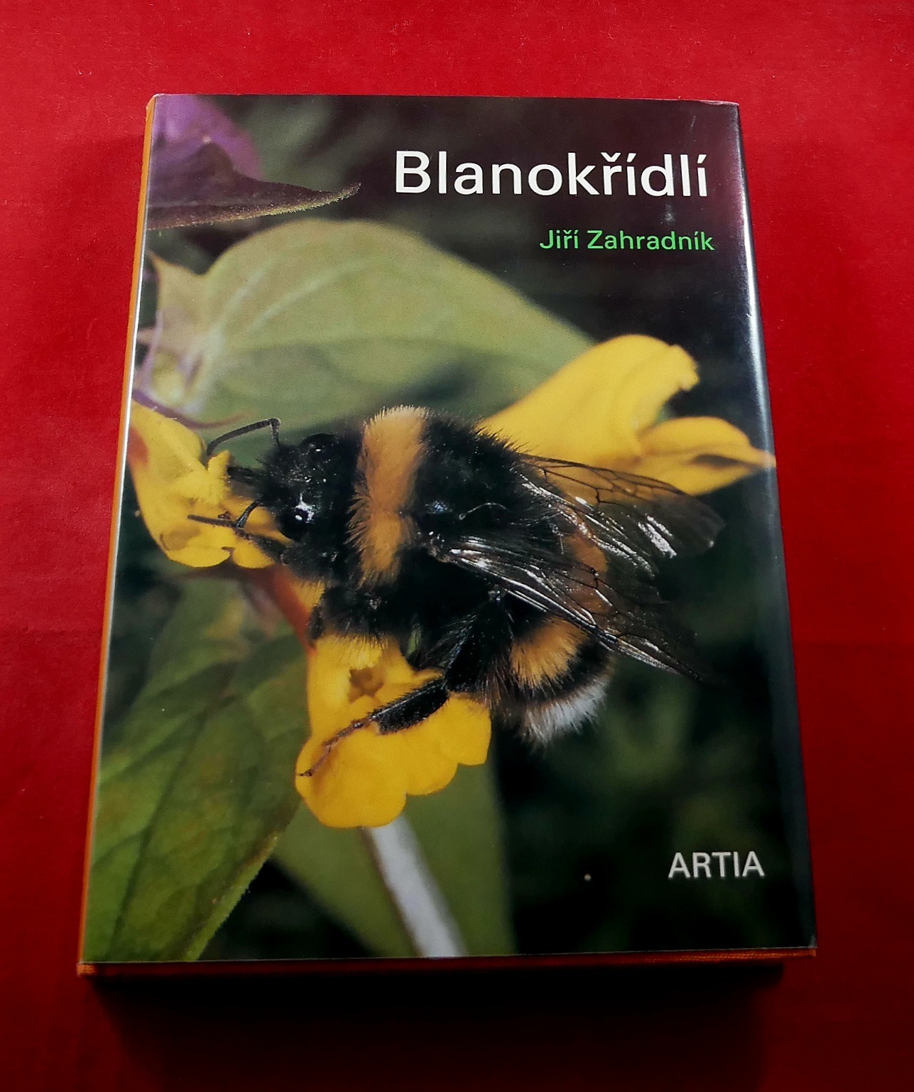 P1330226