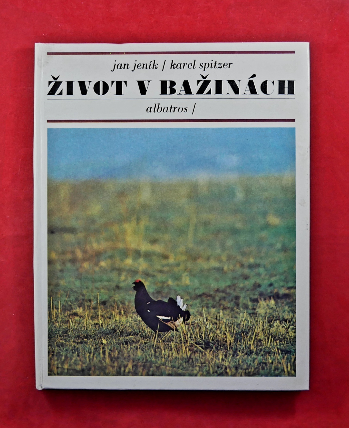 P1330262