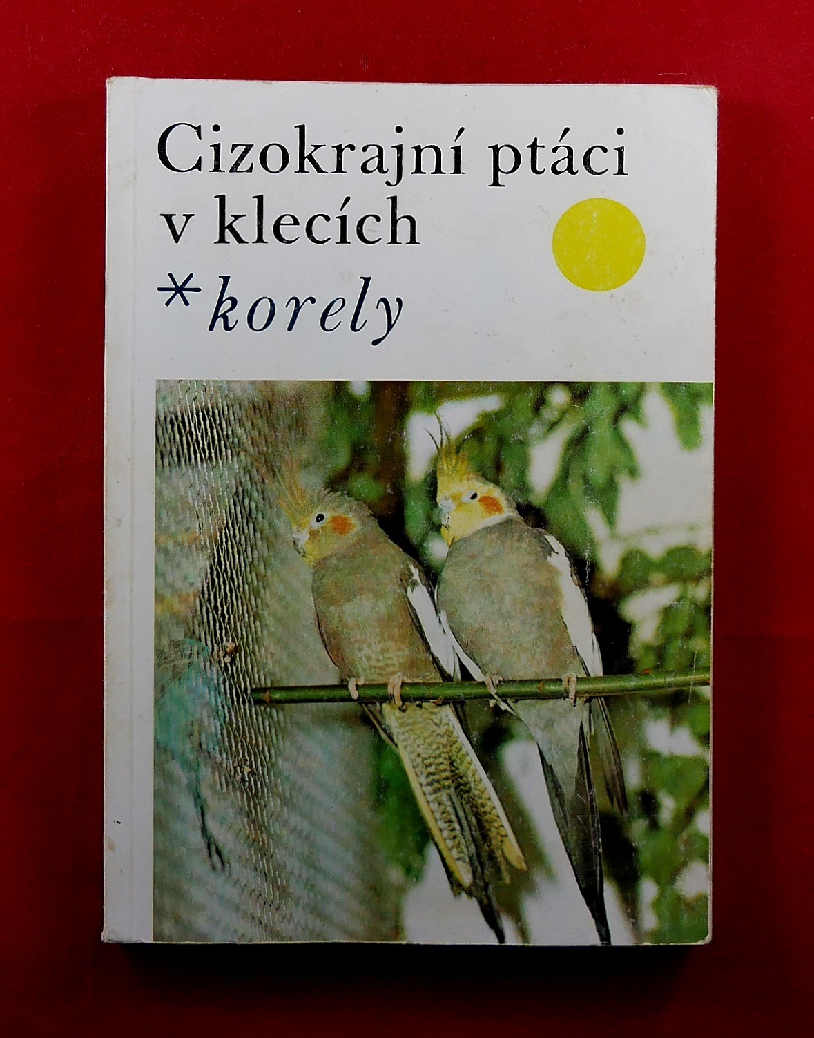 P1330509