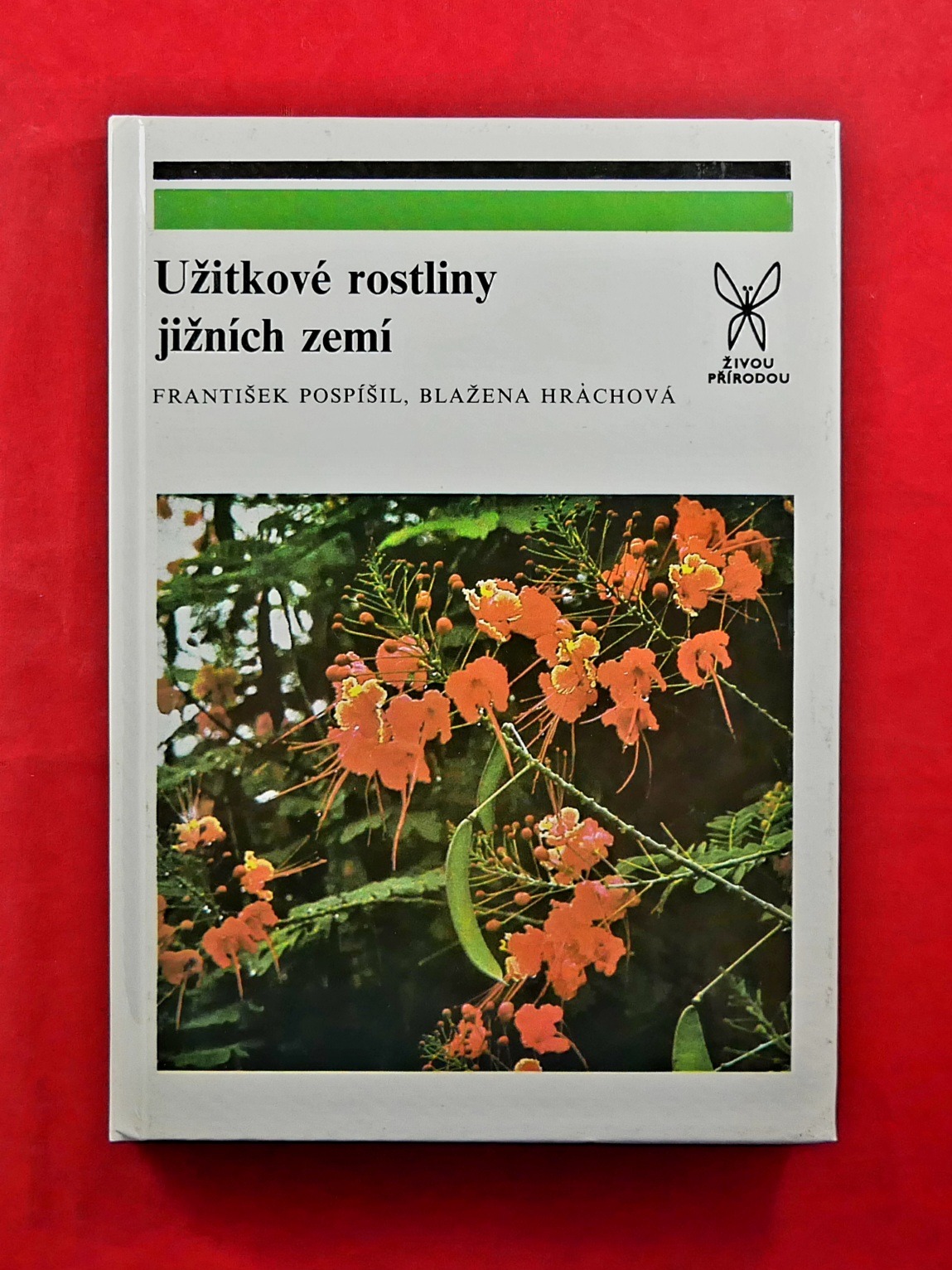 P1330650