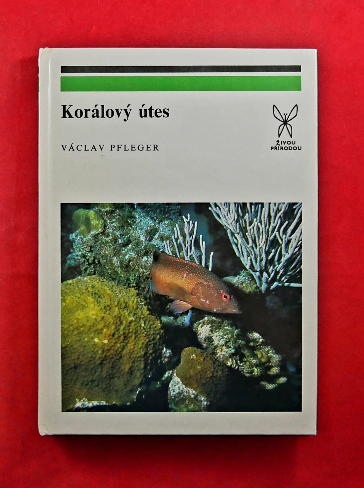 P1330656