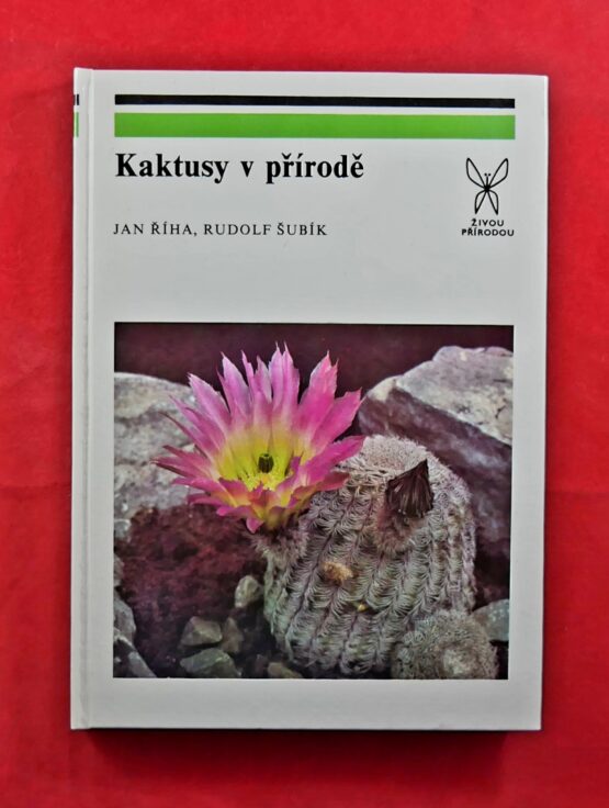 Kaktusy v přírodě