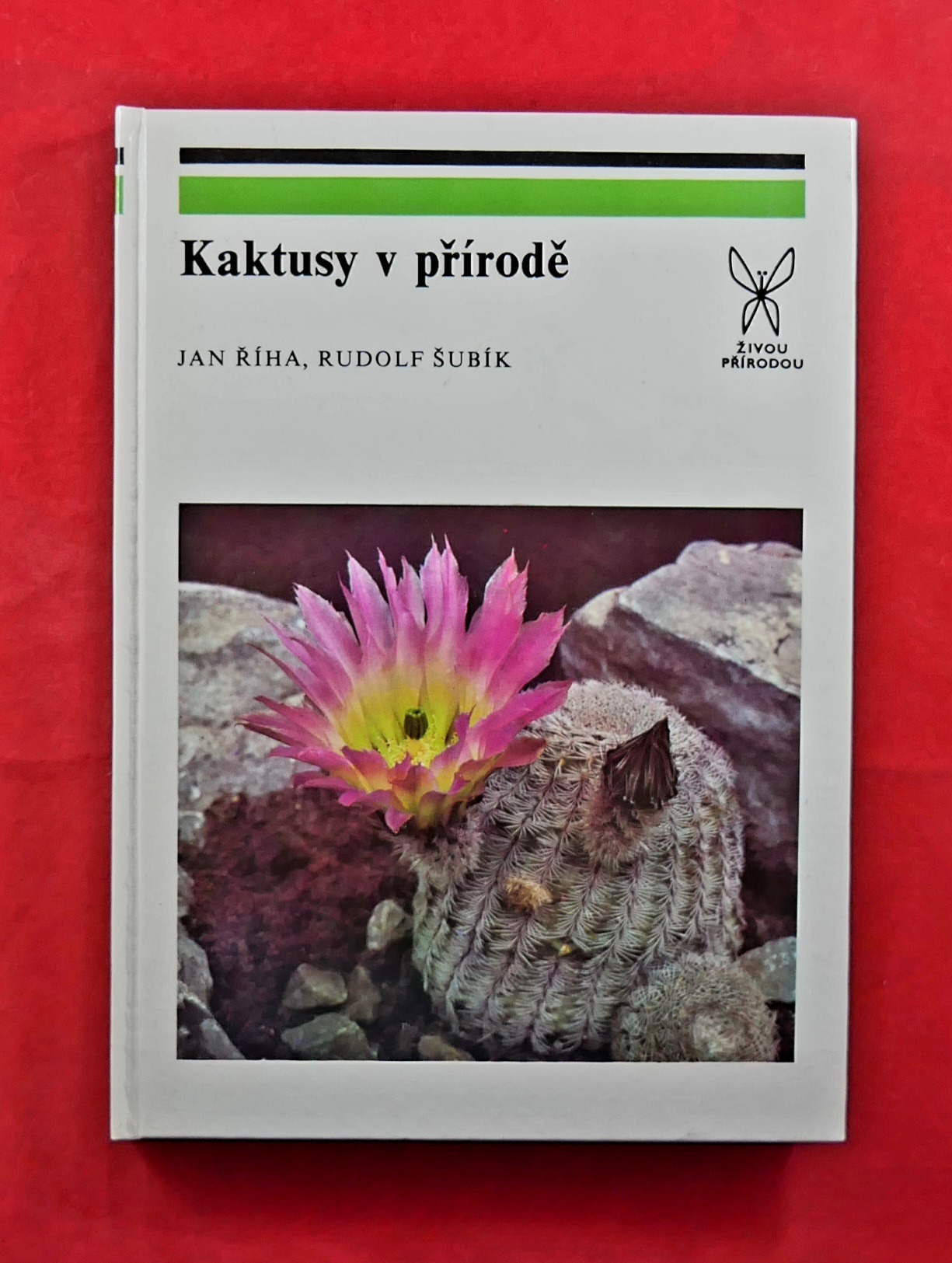 P1330665