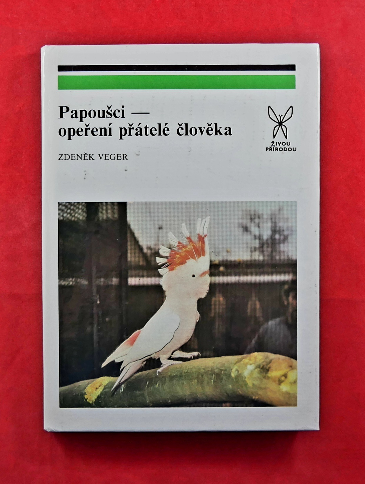 P1330668