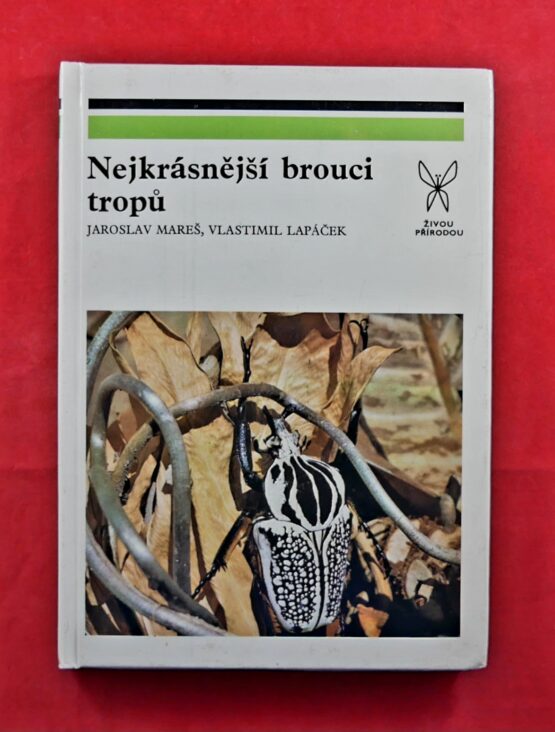 Nejkrásnější brouci tropů