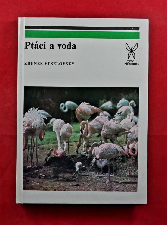 Ptáci a voda