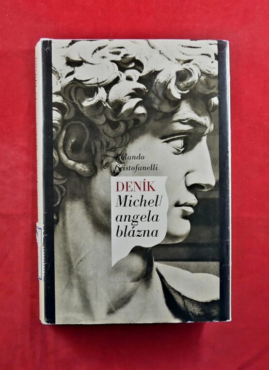 Deník Michelangela blázna