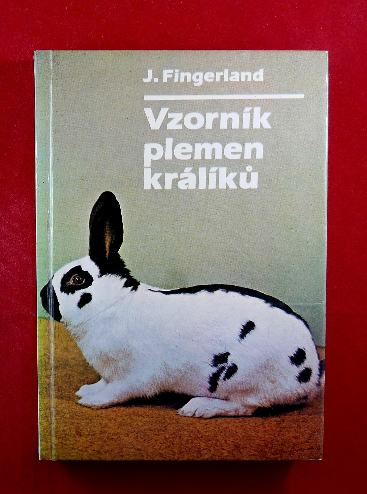 P1340962