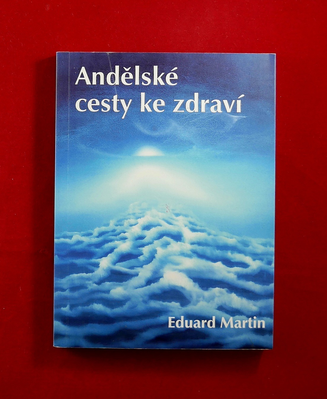 P1350082