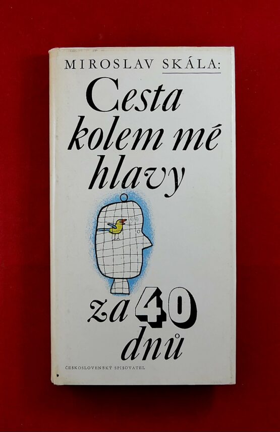 Cesta kolem mé hlavy za 40 dnů