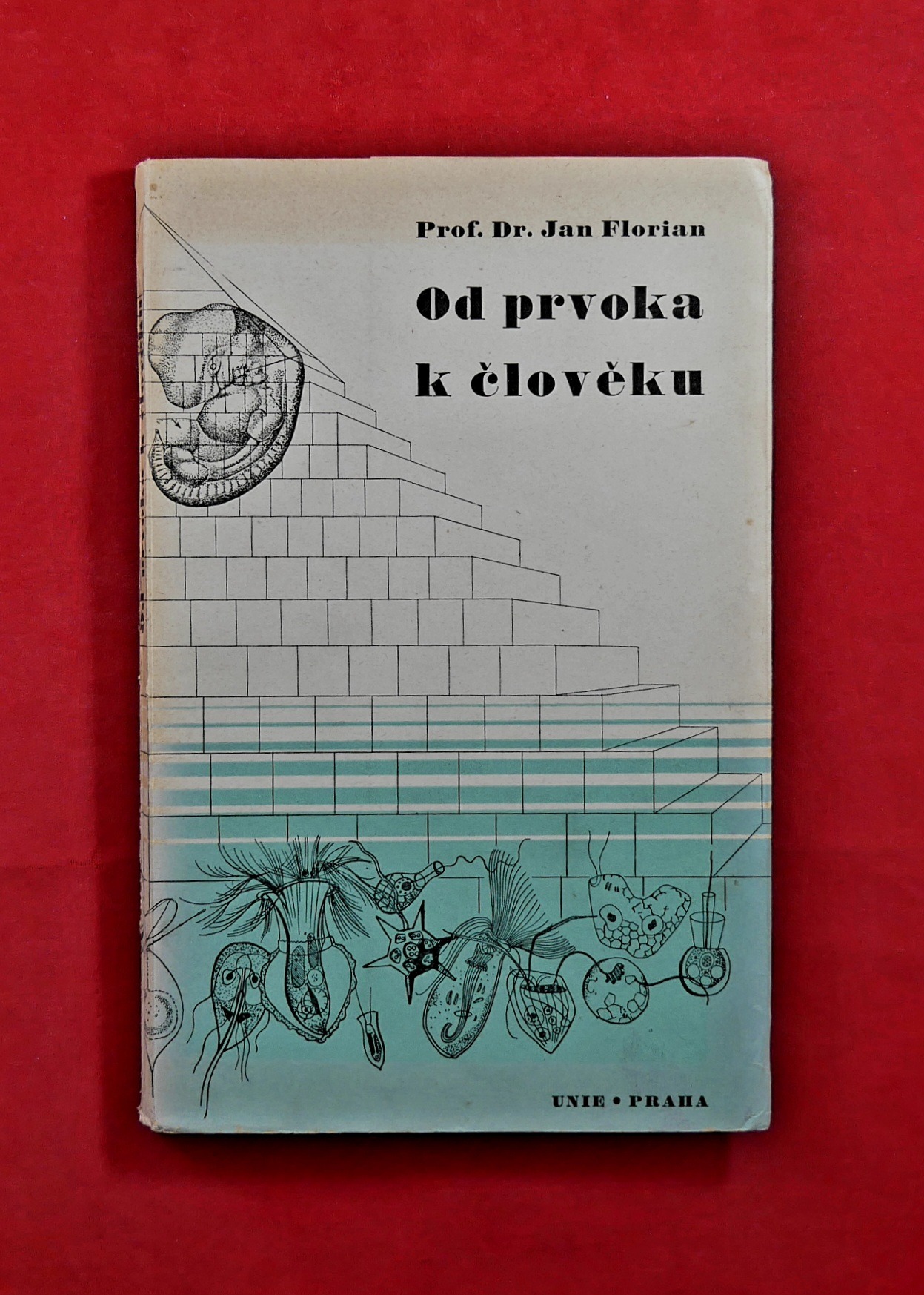 P1360650