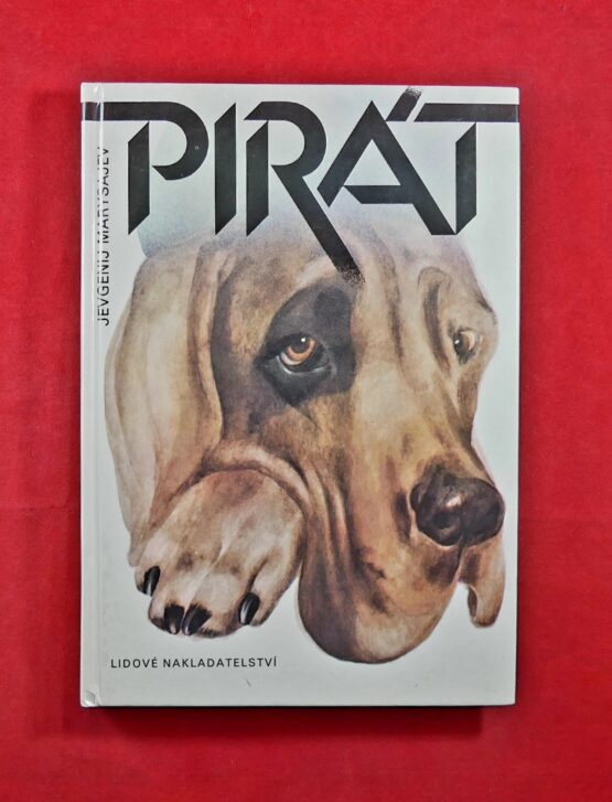 Pirát