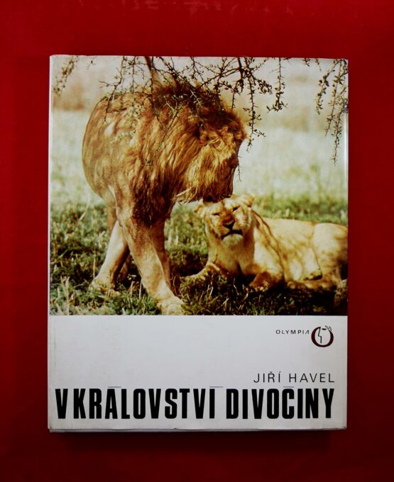 V království divočiny
