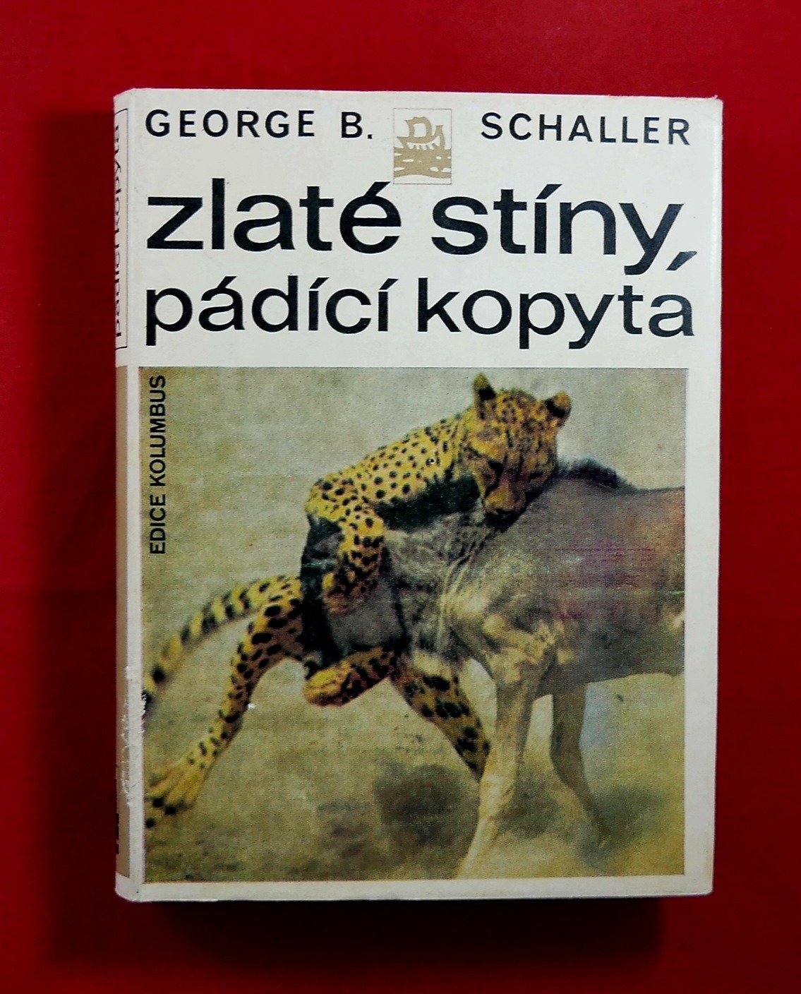 P1370958