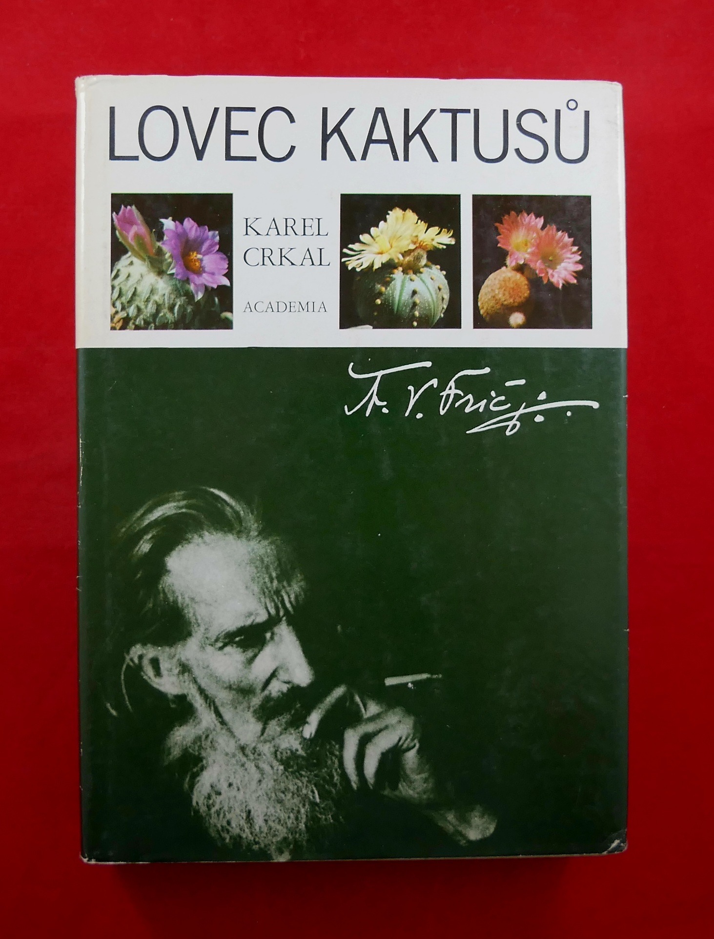 P1380300